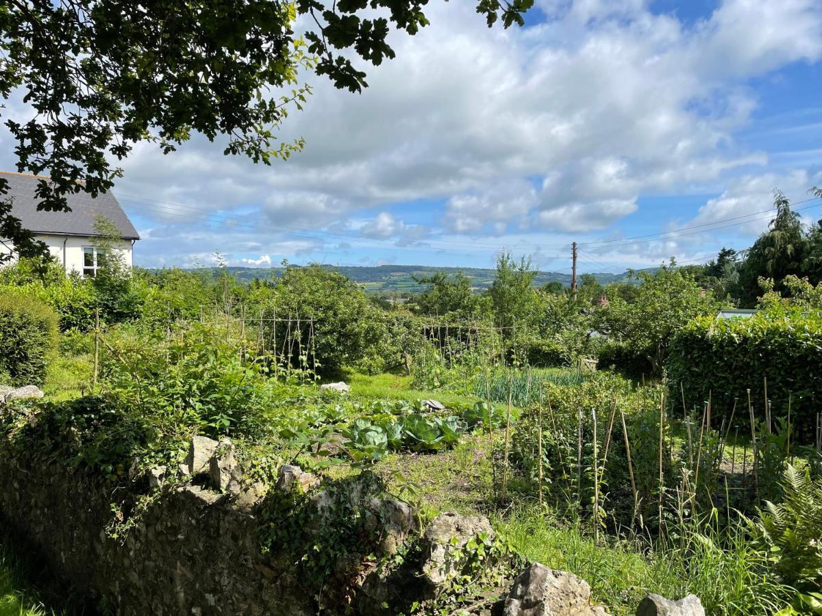 St Reatham Cottage Kilmington  Екстериор снимка